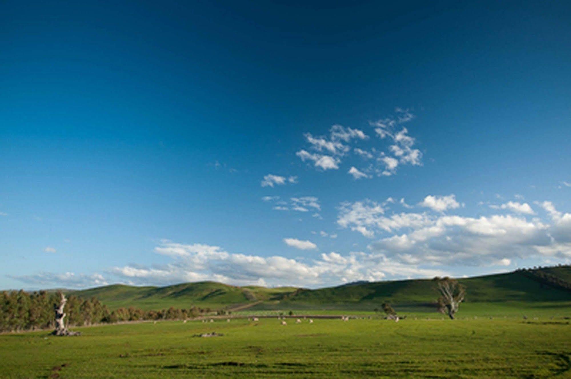 Villa Curringa Farm Meadowbank Esterno foto
