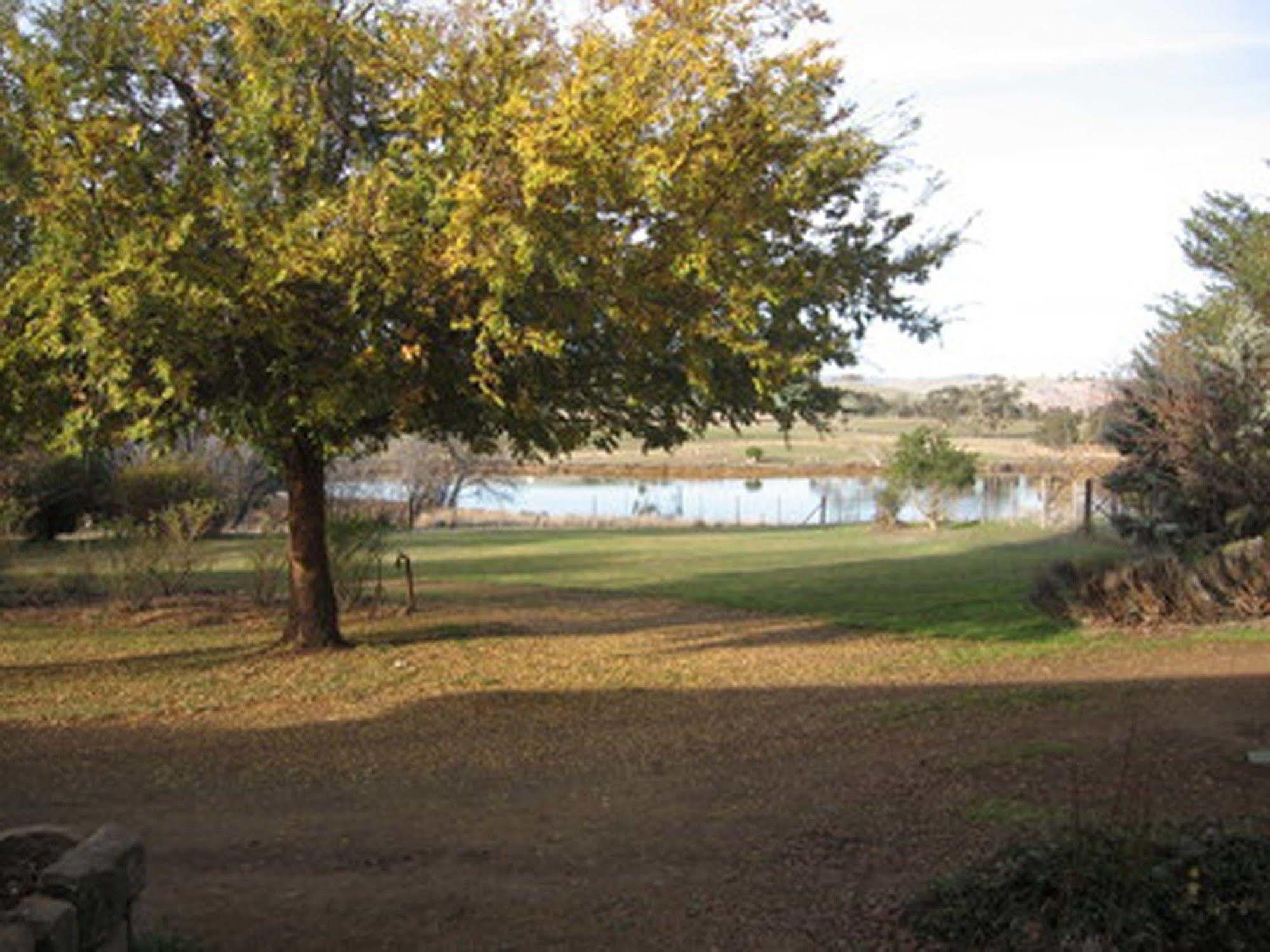 Villa Curringa Farm Meadowbank Esterno foto